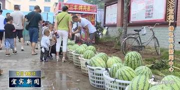 沙河镇吃瓜,瓜香四溢，品味夏日田园风情