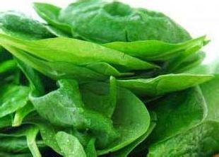 菠菜和角瓜怎么吃,营养搭配新主张