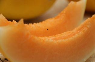 吃冰蜜瓜,冰镇蜜瓜，甜蜜解渴新体验