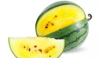 近期聊城吃瓜事件,一场网络舆论的风暴与反思