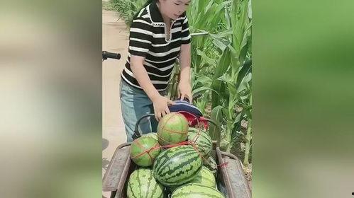 重庆女子吃瓜,揭秘背后的故事与争议