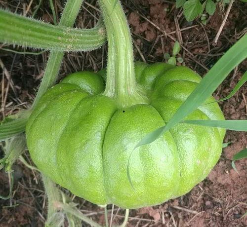 人人吃瓜网,人人吃瓜网带你领略明星幕后故事