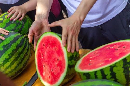 湖师大宿舍吃瓜,揭秘校园吃瓜背后的故事