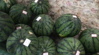 有趣的吃瓜摊,揭秘那些让人“吃瓜”欲罢不能的秘密