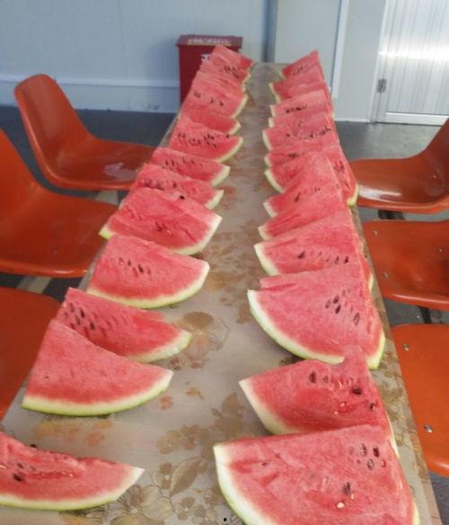 qq大咖吃瓜,揭秘QQ大咖吃瓜背后的娱乐江湖