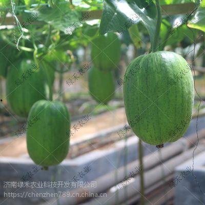 苹果瓜怎么吃最好,苹果瓜的最佳食用方法概述