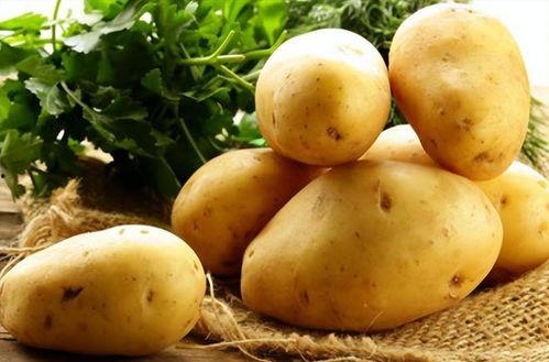 吃贝贝瓜能吃土豆吗,同食相宜的奇妙搭配探索