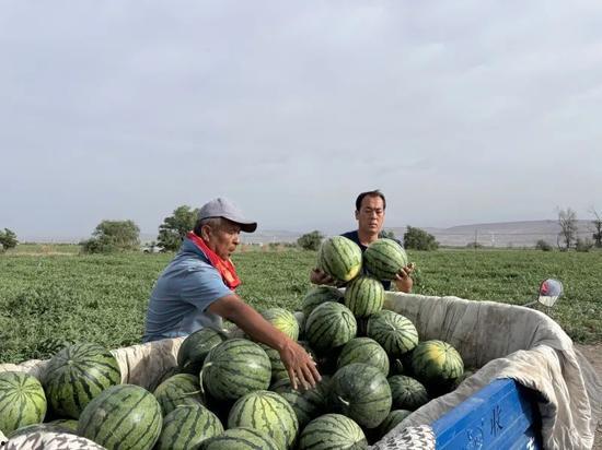 凤城吃瓜,探寻地方特色美食之旅