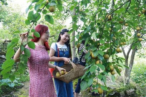 贵州花果园小区吃瓜,吃瓜群众的欢乐盛宴