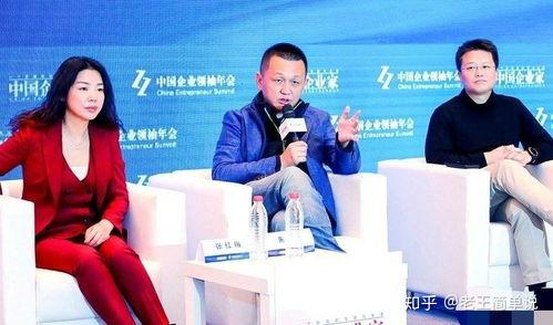 吃瓜群众滴滴视频,吃瓜群众视角下的视频真相