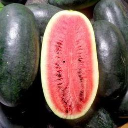 各个城市的吃瓜,一瓜一世界，品味各地风情