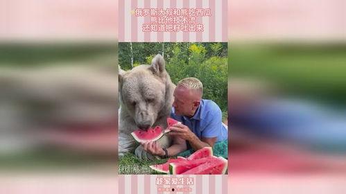 吃瓜小熊俄罗斯,探寻异国风情与美食