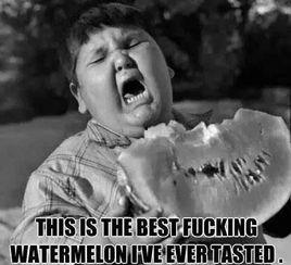 吃瓜正经人,吃瓜群众视角下的真实人生百态