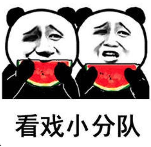 雨中吃瓜 表情包,趣味表情包带你感受夏日清凉