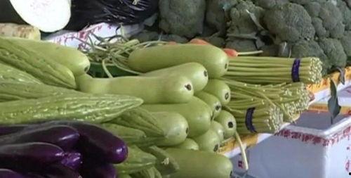 什么瓜不可吃,食品安全知识普及