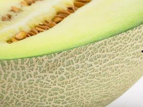 吃蜜瓜好吗,吃蜜瓜真的好吗？