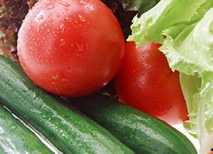 片瓜和黄瓜能一起吃吗,能否共食的饮食搭配探讨